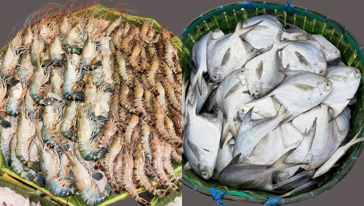 গলদা–বাগদা চিংড়ি নিলামে উঠেছে